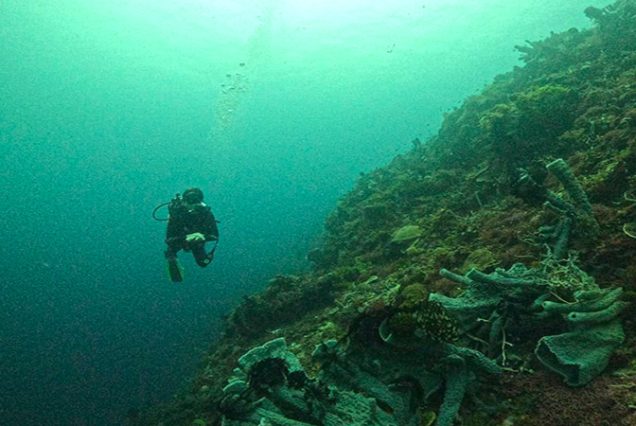 Flores Dive Adventure Trip