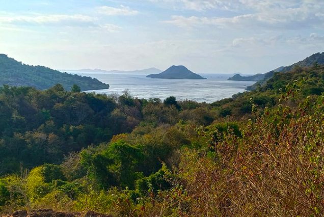 One Day Labuan Bajo Tour
