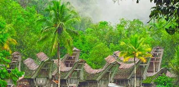 Sulawesi Island