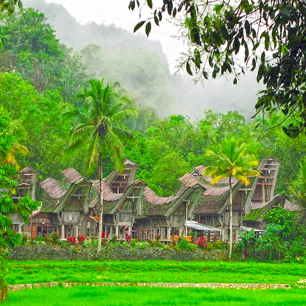Sulawesi Island