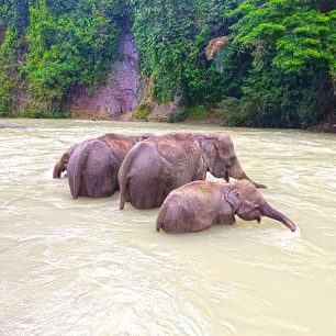 Sumatra Island
