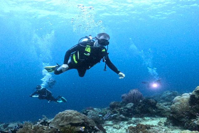 5 Day Komodo Dive Liveaboard