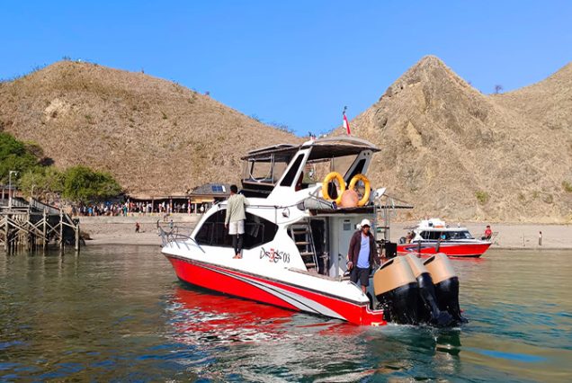 One Day Komodo Tour With Speed Boat